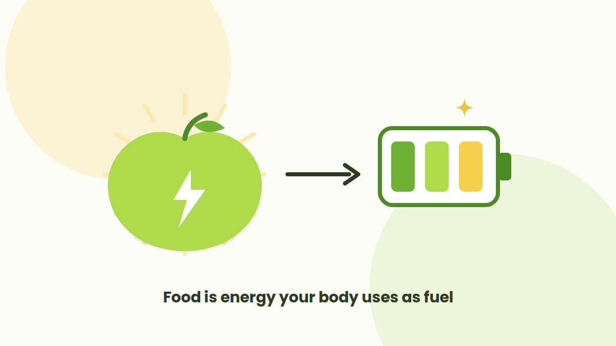 How to Count Calories: A Beginner&rsquo;s Guide to Tracking Food and Reaching Your Goals — Qalzy